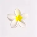 Eleganter weiß-gelber Frangipani-Blumen-Haarclip, ideal für den Strandurlaub - 8 Cm Großer Mattweißer Sockel Mit Gelbem Kern