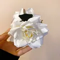 Gros plan détaillé d'une grande pince à cheveux élégante en rose de tissu blanc pur - Pince à Cheveux - Blanc