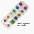 Caja de 12 rejillas de flores de encaje secas de colores para uñas y maquillaje artístico - Estilo de Flor Seca Grande (Caja 13CM) / Paquete de 24 Piezas