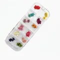 Detalle de 36 flores secas de colores para arte de uñas y maquillaje de rostro - Estilo de Flor Seca Pequeña (Caja 13CM) / Paquete de 36 Piezas