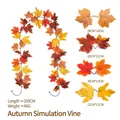 200cm artificial autumn maple leaf garland for Thanksgiving and Halloween decor - Maple Vine - 252-3