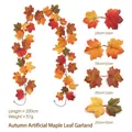 Artificial maple leaf vine for autumn home decor, 200cm length with multiple leaf sizes - Maple Vine - 251-2