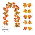 Autumn artificial maple leaf garland vine for Halloween home decoration 200cm - Maple Vines - 259-3