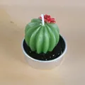 Bougie en paraffine en forme de cactus succulente dans un récipient en métal - Style Cactus avec Fleur Rouge (5)