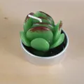 Bougie en paraffine en forme de succulente dans une boîte en aluminium argentée décorative - Style Succulente Spray Brun (6)