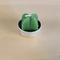 Bougie réaliste en paraffine en forme de cactus succulent vert dans un photophore en métal argenté - Style Cactus Vert Vif (9)