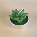 Bougie réaliste en forme de plante succulente en paraffine dans un pot en argent - Style Succulente à Pointes Brunes (12)