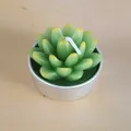 Bougie chauffe-plat en forme de succulente verte à pointes jaunes et base métallique - Style Succulente Teintée de Jaune (13)