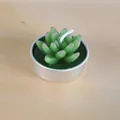 Bougie décorative en forme de plante succulente verte dans un photophore en métal - Style Succulente à Pointes Violet-Brun (17)