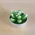 Bougie décorative réaliste en forme de plante succulente verte dans un pot en métal - Succulente Style Echeveria (18)