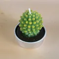 Bougie réaliste en forme de cactus succulente verte dans un support en métal. - Style Cactus Vert et Jaune (19)