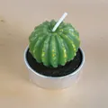 Petite bougie en forme de cactus vert présentée dans un récipient en métal argenté - Style Cactus aux Détails Jaunes (21)