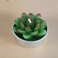 Bougie succulente réaliste faite à la main dans une boîte en métal pour la décoration - Style Succulente à Dégradé Rouge (23)
