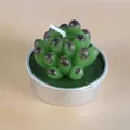Bougie en cire détaillée en forme de plante succulente verte dans une boîte en argent - Succulente à Taches Brunes (26)