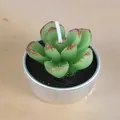 Bougie décorative en forme de succulente dans une boîte en métal argenté brillant - Transition Rouge-Vert Succulente (29)