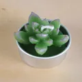 Bougie réaliste en forme de succulente verte dans une boîte décorative en métal argenté - Succulente Verte Teintée de Lavande (30)