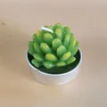 Bougie chauffe-plat décorative en forme de succulente verte - Style Feuille Succulente (34)