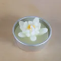 Bougie artisanale en forme de succulente blanche dans une boîte ronde en argent - Succulente Blanche avec Jaune (44)