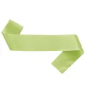 High-quality close-up of a blank lime green satin sash for DIY party decoration and ceremony use - Light Green / 160*9.5