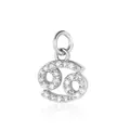 Detailopname van een zilveren Kreeft sterrenbeeld hanger met glinsterende stenen. - Kreeft Hanger Zonder Ketting / Zilver