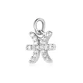Detailweergave van een zilveren Vissen sterrenbeeld hanger met fonkelende steentjes. - Vissen Hanger Zonder Ketting / Zilver