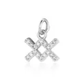 Zilveren sterrenbeeld hanger met pavé zetting van roestvrij staal - Waterman Hanger Zonder Ketting / Zilver