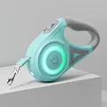 Professional automatic retractable 5M dog leash with LED light in mint green color - Mint Green [light-up Version] / 3M