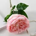 Elegante rosa künstliche Rose im Monet-Ölgemälde-Stil für Hochzeits- und Eventdekoration - Austin Rose Fleischpulver