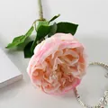 Künstliche Rose am Stiel im Monet-Stil in Zartrosa für elegante Hochzeitsdekoration - Austin Rose Pink Edge