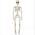 Ornamento scheletro di Halloween con articolazioni regolabili per decorazioni di feste paurose - 40CM (Imballaggio Nudo) / Teschio di Scheletro