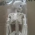 Decorazione di scheletro di Halloween articolata in plastica bianca resistente 40cm - 40CM (Sacchetto OP Singolo) / Scheletro del Cranio