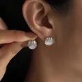 Eleganti orecchini a lobo a conchiglia d'argento con trama verticale per stile oceano - Conchiglia Argento Texturizzata (6514202)