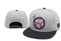 Grey and black American style flat brim snapback hat with cartoon money embroidery - Style-50 / Adjustable