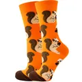 Vibrant orange mid-calf crew socks featuring cute repeating cartoon squirrel patterns - Sizes 36 To 43 / Squirrel