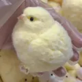 Jouet squishy poussin jaune ultra doux avec texture pelucheuse pour le stress - Style de Gros Poussin