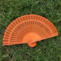 Classical orange hollowed-out wooden folding fan displayed on natural green grass lawn - Orange