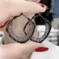 Light luxury gun-black mesh hoop earrings with zirconia and s925 silver needle - Geometric Irregular Woven Mesh (E2601 Black) / 925 Silver Needle / Black