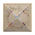 Elegante gouden lasergesneden huwelijksuitnodiging met een bloemen kantpatroon decor - Beige Goud
