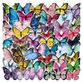 Vibrant set of 50 watercolor butterfly stickers for creative DIY decoration and crafts - Butterfly / 55 Pieces / Colorful