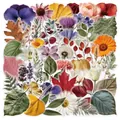 Set of 50 watercolor PET waterproof stickers with various floral and botanical leaf designs - Botanical / 51 Pieces/Pack / Colorful