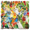 Vivid watercolor parrot PET stickers, durable waterproof vinyl decals for DIY projects - Parrot / 53 Pieces/Set / Colorful