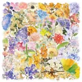 Assorted watercolor floral PET transparent stickers for DIY craft decoration and journaling - Watercolor Flowers / 53 Pieces/Set / Colorful