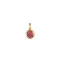Elegant 18K gold plated stainless steel pendant featuring a faceted red zircon birthstone - October Birthstone Pendant Only (Without Chain)