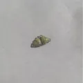 Dettaglio dei fermagli magnetici a forma di cuore verde salvia per gioielli fai da te - Cuore Luminoso / Grigio Verde (Verde Luminoso)