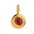 18K gold plated stainless steel pendant with red birthstone zircon for DIY charms - Round Style / January (Red)