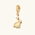 Elegante accesorio para zapatos con forma de conejo dorado y ojo de cristal brillante - Conejo