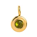 Round 18K gold plated stainless steel charm with green August birthstone zircon - Round Style / August Pendant (Light Green)