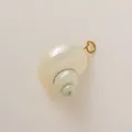 Macro detail of iridescent white shell pendant with gold jump ring - Conch