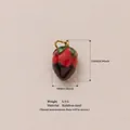 Ciondolo a fragola rossa minimalista con cioccolato in acciaio inossidabile fisso. - Ciondolo Peperoncino Nero E Rosso