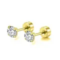 Detailed view of gold stainless steel stud earrings with round cz stone and screw-back. - Round Zircon Style / Gold